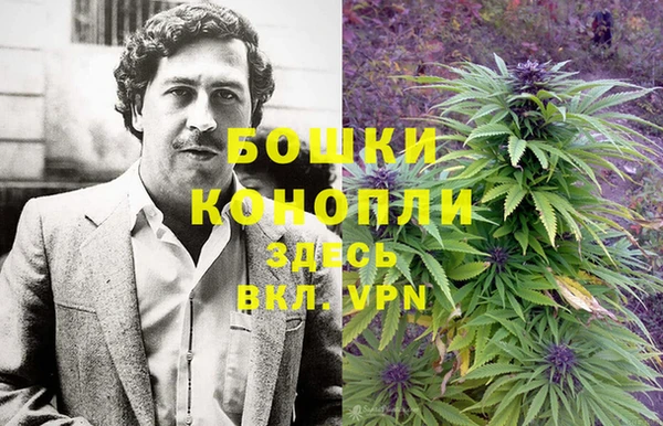 спиды Верея