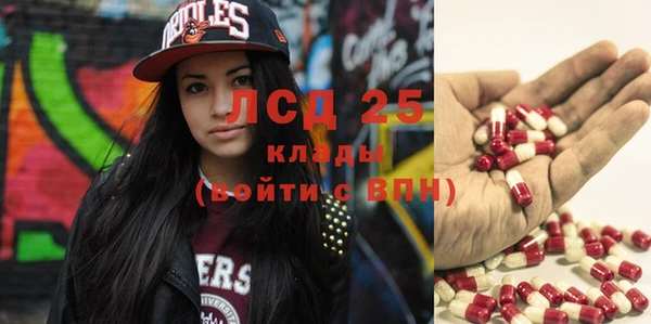 спиды Верея