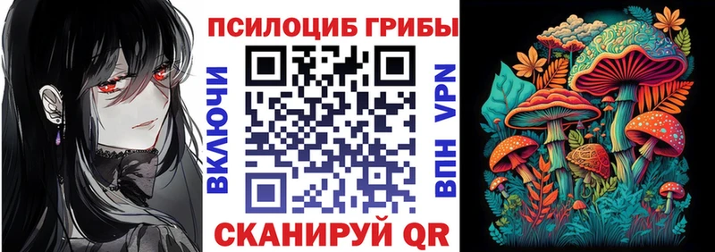 купить наркотик  Вилюйск  кракен онион  Галлюциногенные грибы Cubensis 
